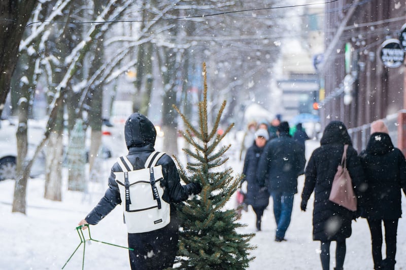 Outdoor Mindfulness Walks